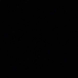 Meet your Posher, Isabella